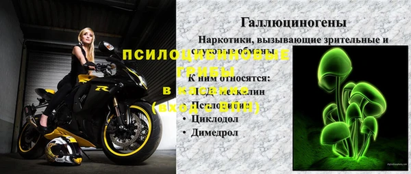 шишки Алексин