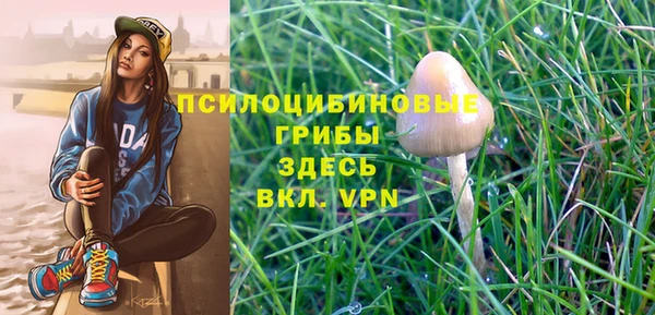 мескалин Алексеевка